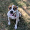 Laverne - Photo 6