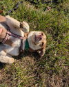 Zena - Photo 5