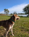 Zena - Photo 7