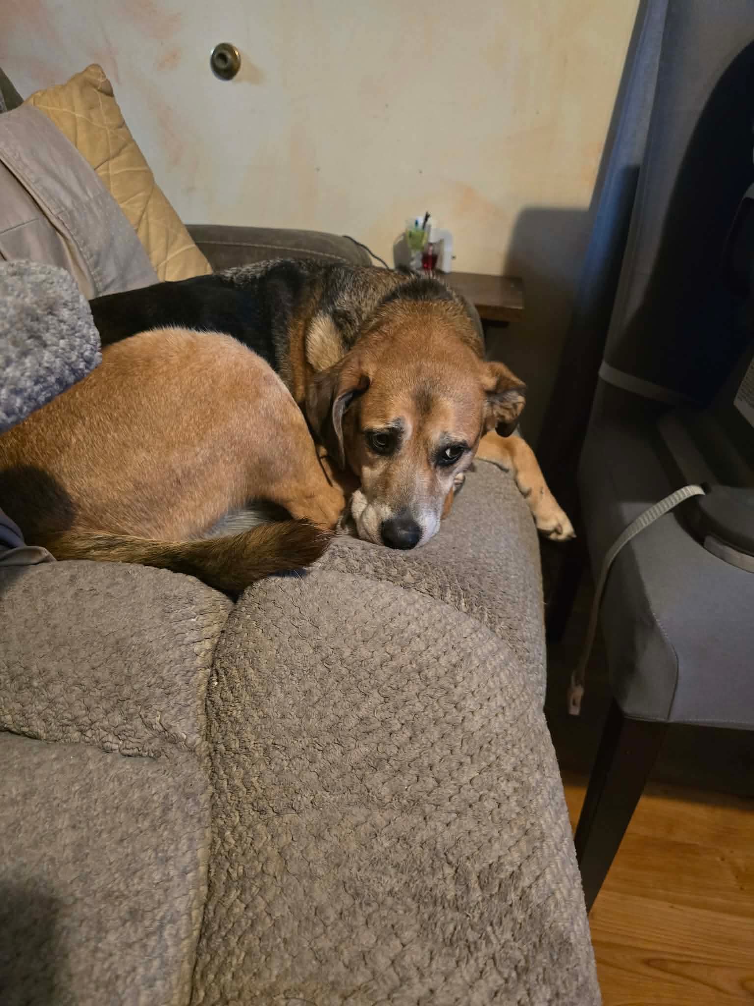 Bubba