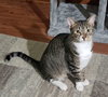 Jake - Photo 3