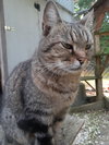 Little Guy - Photo 3