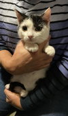 Calipurr - Photo 3