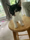Ares - Photo 5