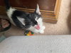 Ares - Photo 6