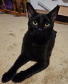 Matriarch - Photo 1