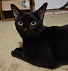 Matriarch - Photo 2