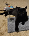 Matriarch - Photo 3