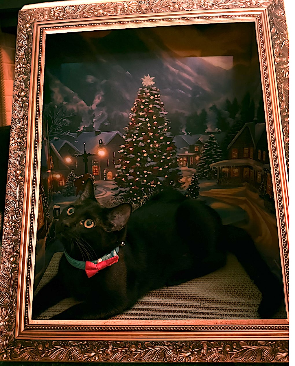 Purretha Franklin Image