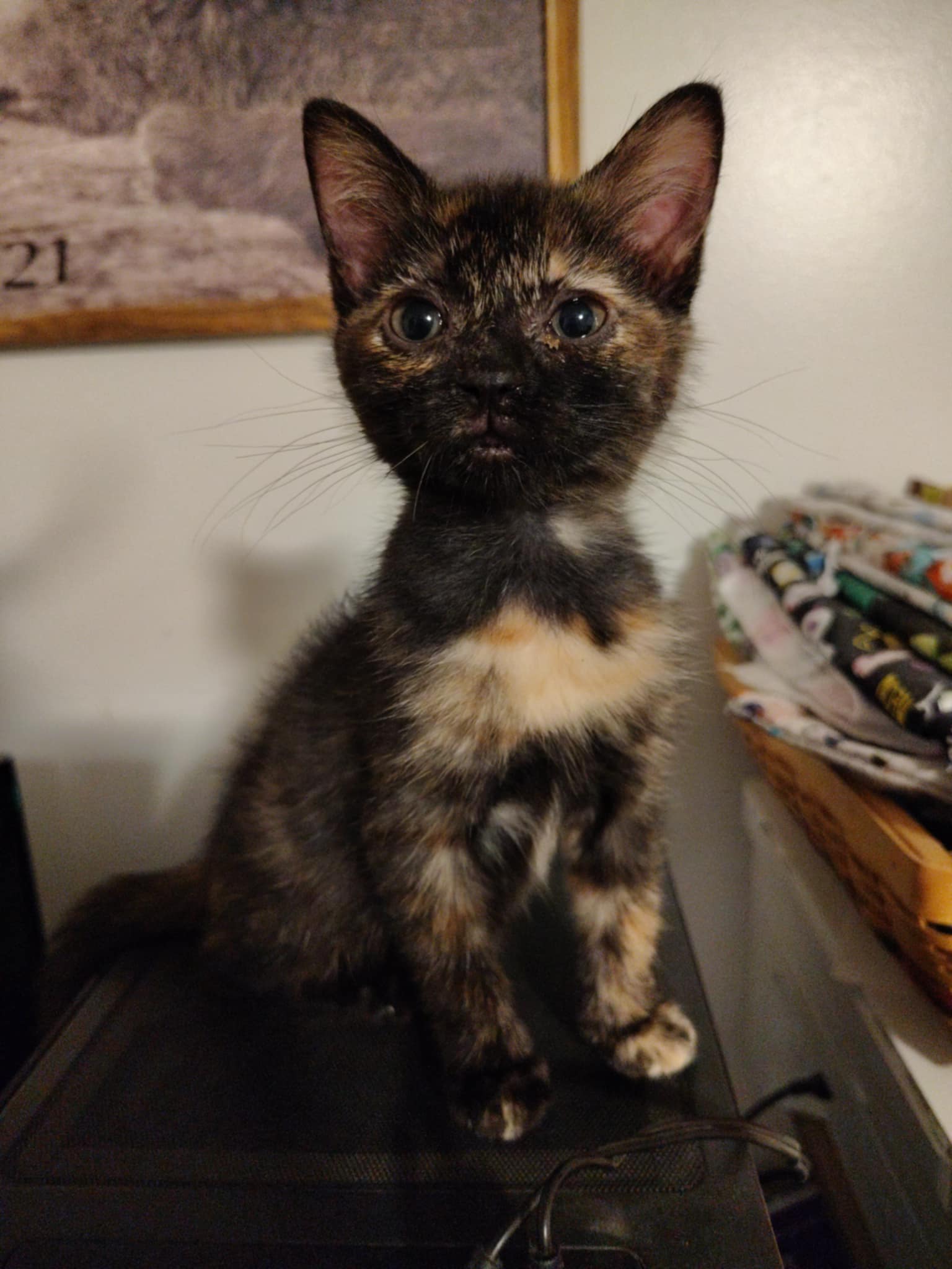 Ember Image