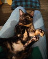 Ember - Photo 2