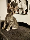 BoxTop - Photo 4