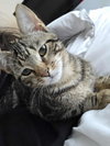 Chuckles - Photo 5