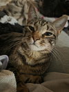 Chuckles - Photo 1