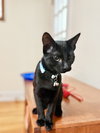 Daisy Jane - Photo 1