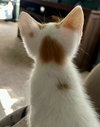 Grandma - Photo 7
