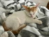 Grandma - Photo 3