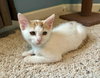 Grandma - Photo 4