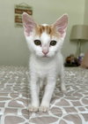 Grandma - Photo 6