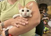 Grandma - Photo 8