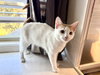 Grandma - Photo 1