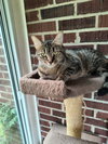 Cleo - Photo 2