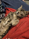 Dizzy Izzy - Photo 6
