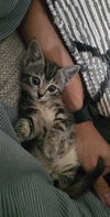 Dizzy Izzy - Photo 7