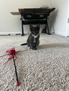 Blaney - Photo 1
