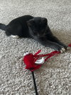 Blaney - Photo 4