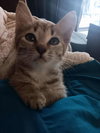 Tuna Turner - Photo 2