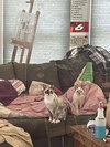 Herringbone - Photo 2