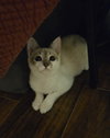 Triple Play - Photo 3
