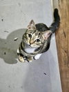 Tuck N Roll - Photo 2
