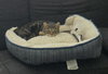 Tuck N Roll - Photo 10