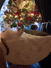 Ben Catfleck - Photo 3