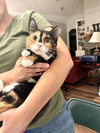 Furiphina - Photo 6