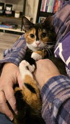 Furiphina - Photo 2