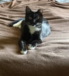 Menace - Photo 2