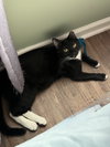 Menace - Photo 1