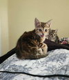 Kira - Photo 9