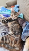 Kira - Photo 6