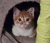 Hermie - Photo 1