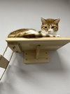 Hermie - Photo 1
