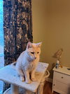 Richie Rich - Photo 1