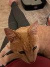 Richie Rich - Photo 2