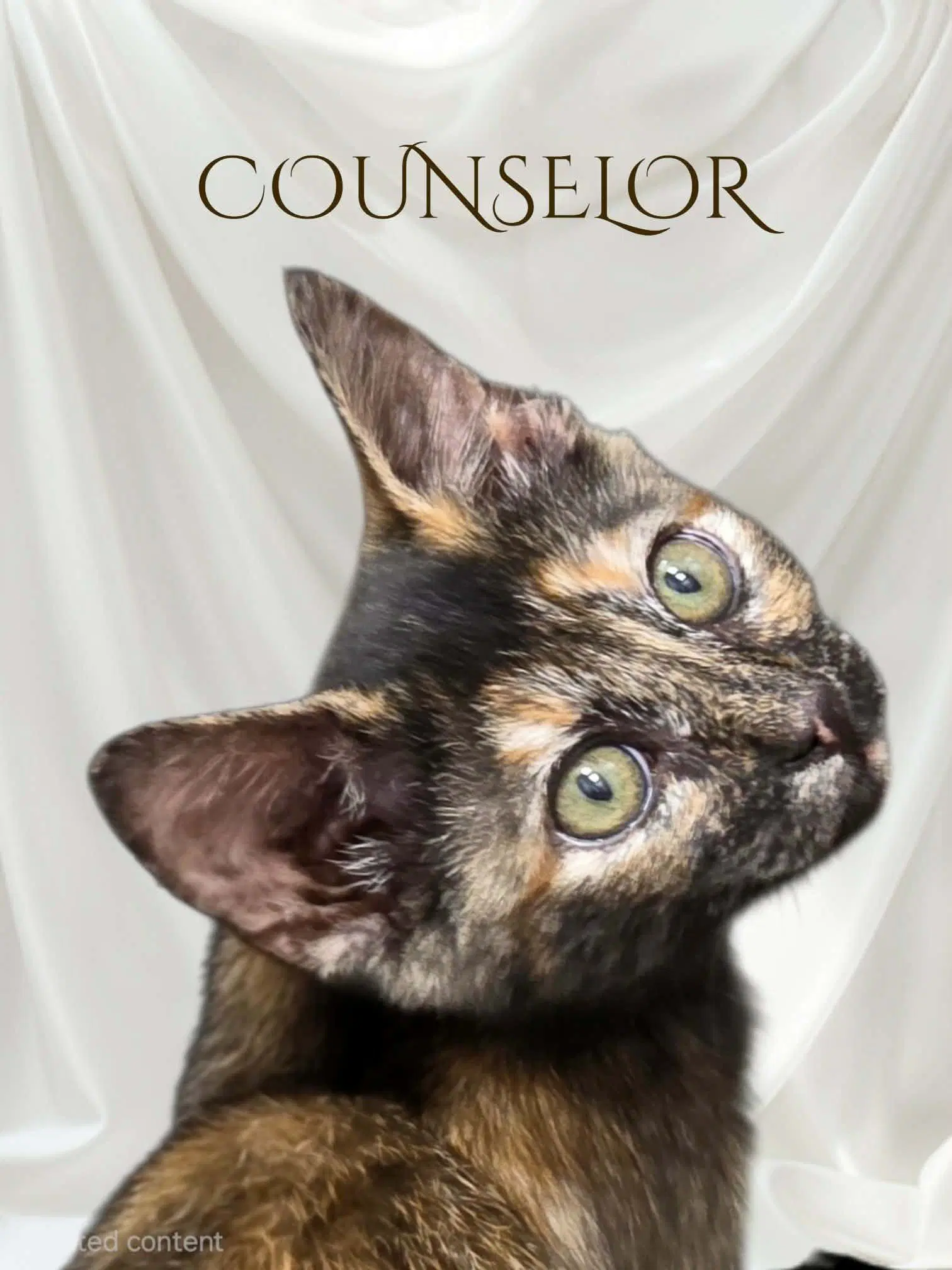 Counselor image 3