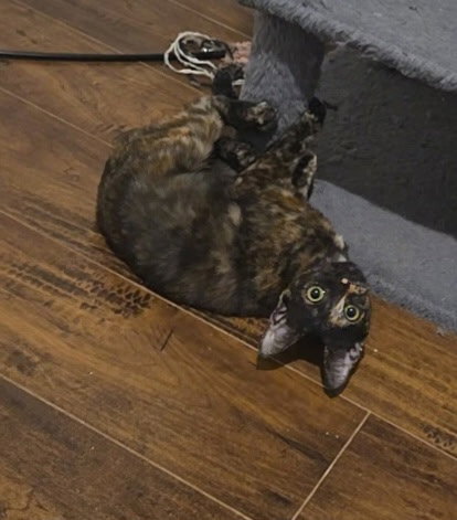 Torti-Feasor, photo 5