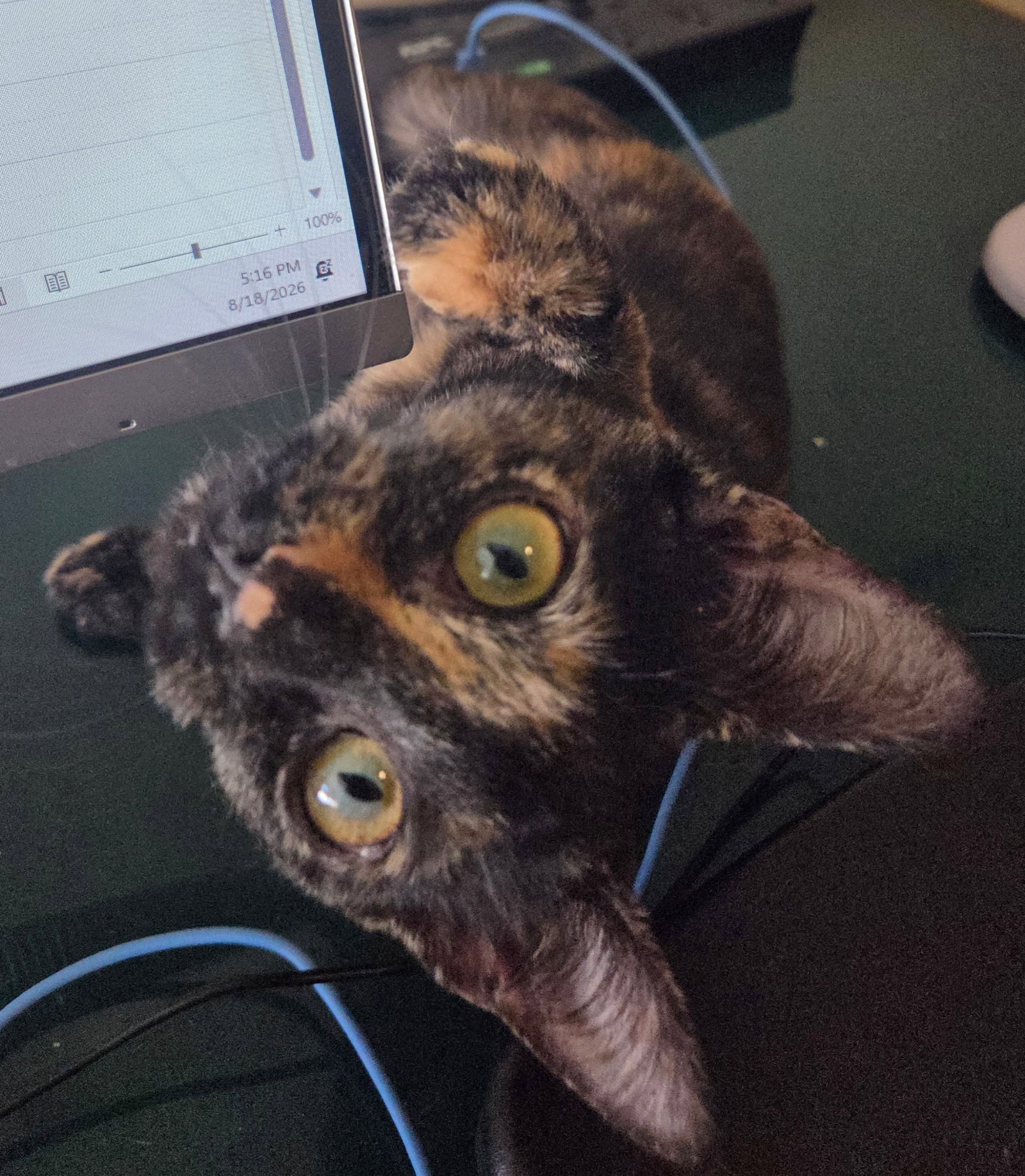 Torti-Feasor, photo 2