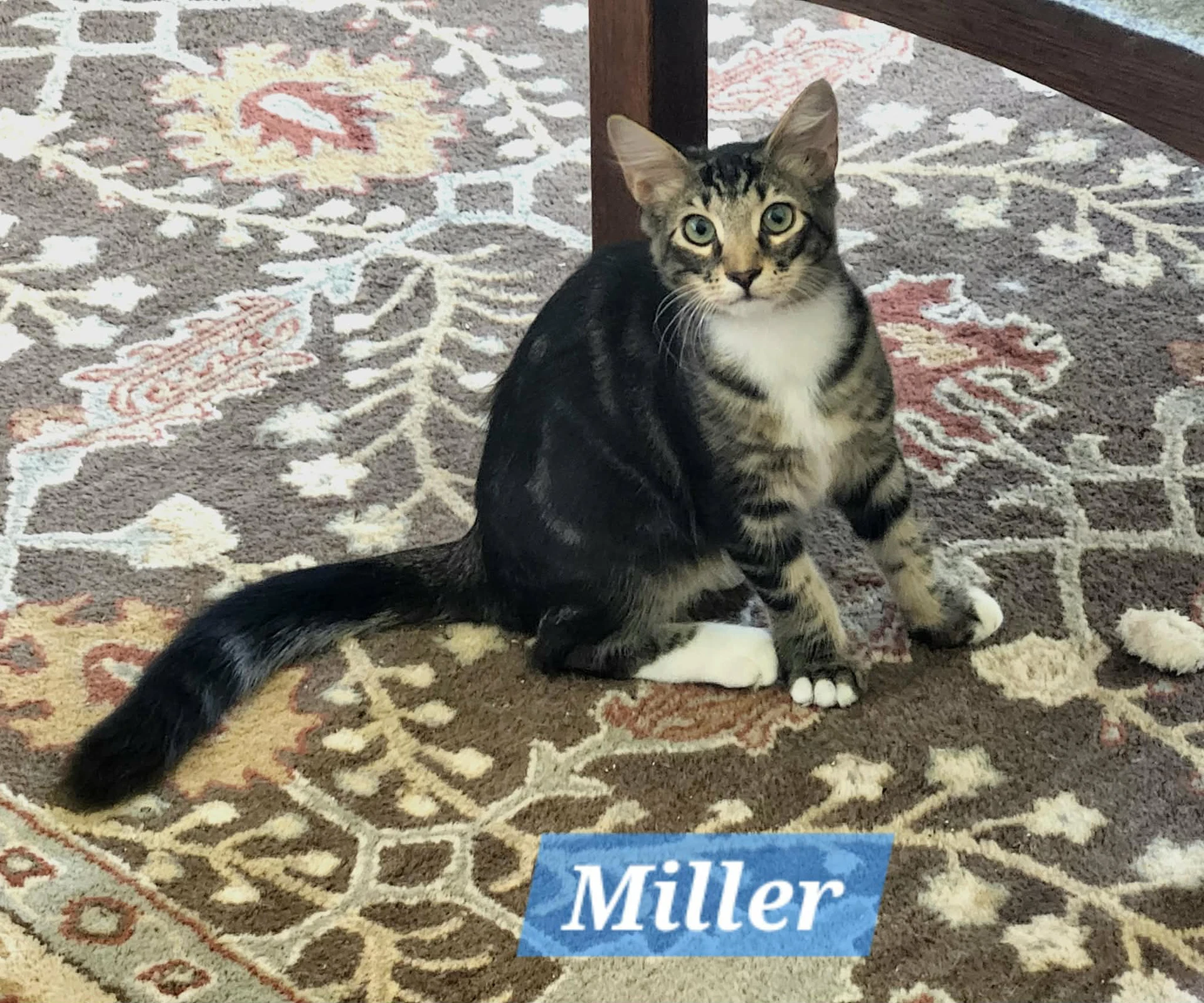 Miller